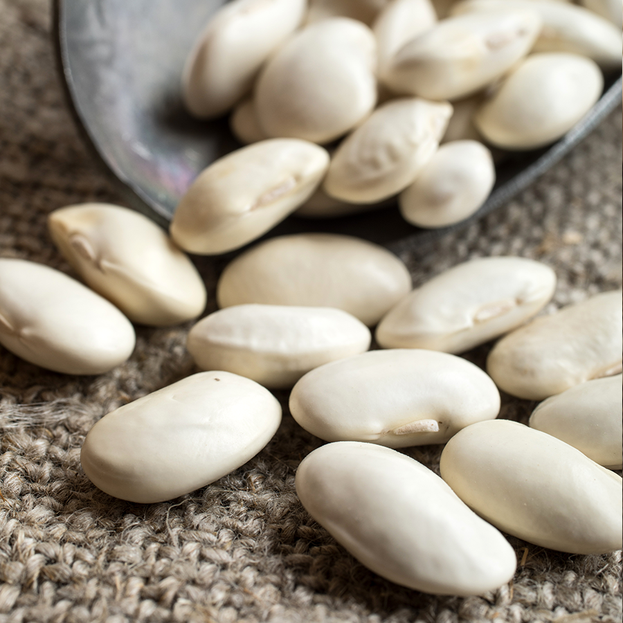 İspir Fasulye (İri taneli)